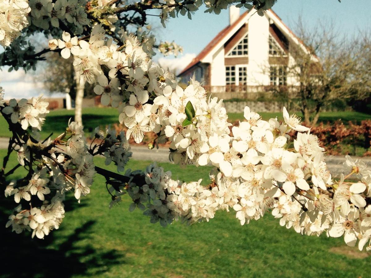 Margretelyst Bed and Breakfast Farsø Exterior foto