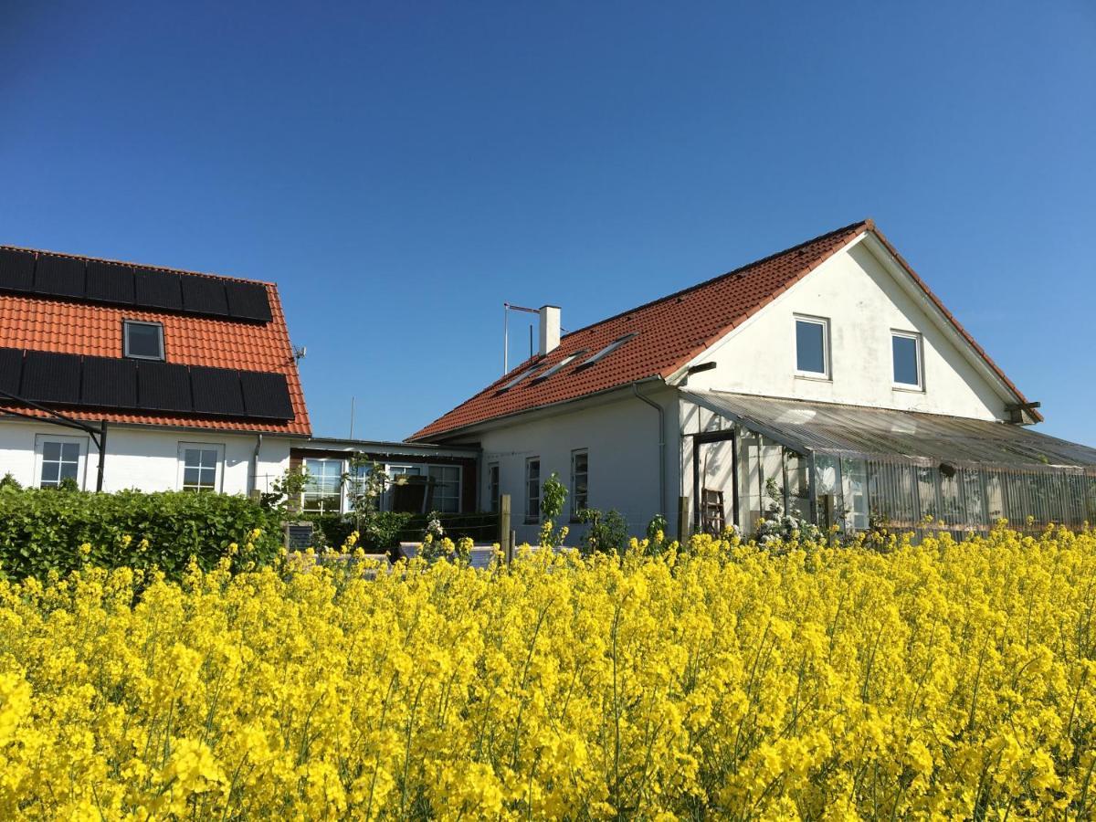 Margretelyst Bed and Breakfast Farsø Exterior foto